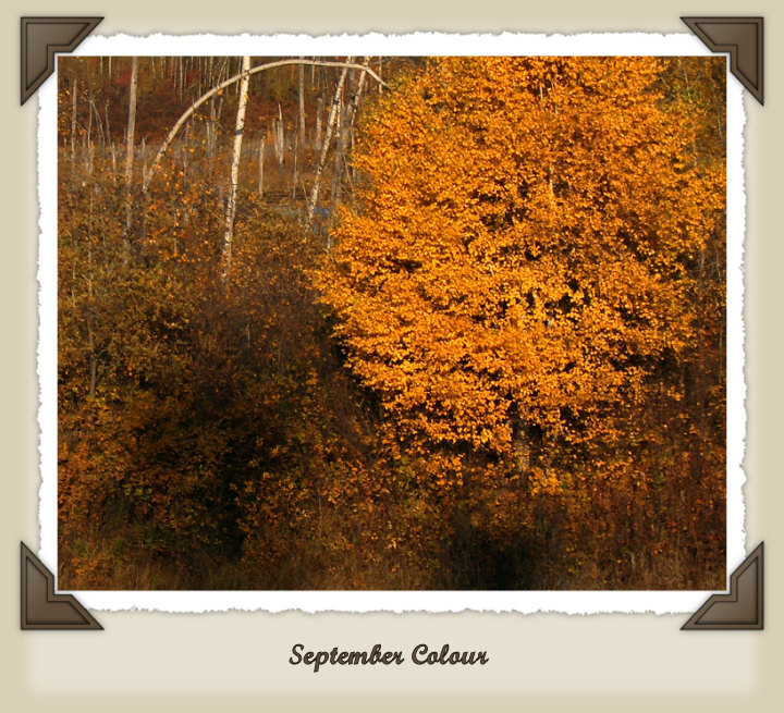September Colour