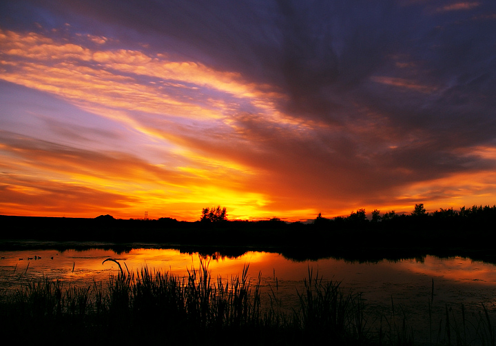 Golden Sunset II