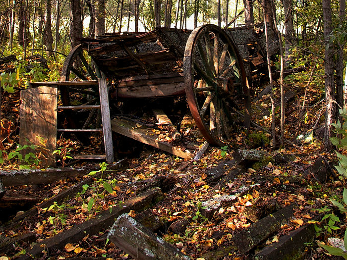The Old Buckboard