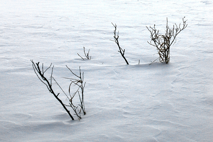 Windswept Snow