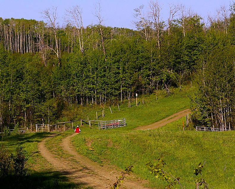 Long Way to Run