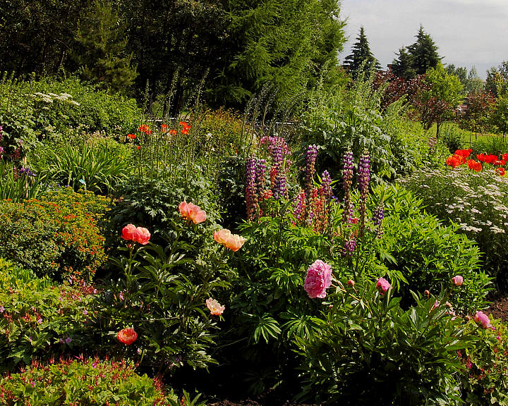 Day 6 - Cottage Garden - redo