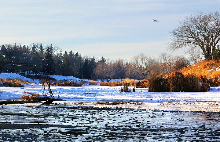 Frozen River 