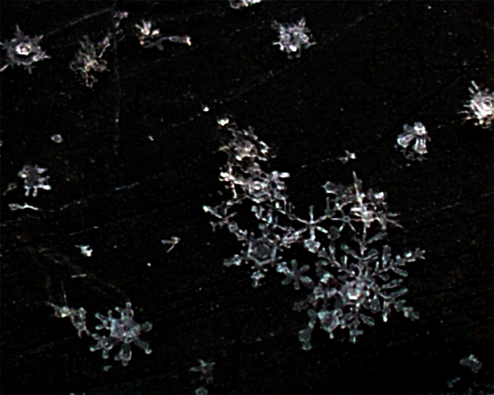Jewels of the Night