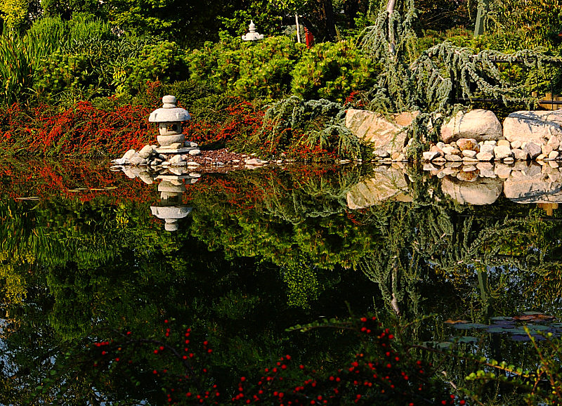 Japanese Garden