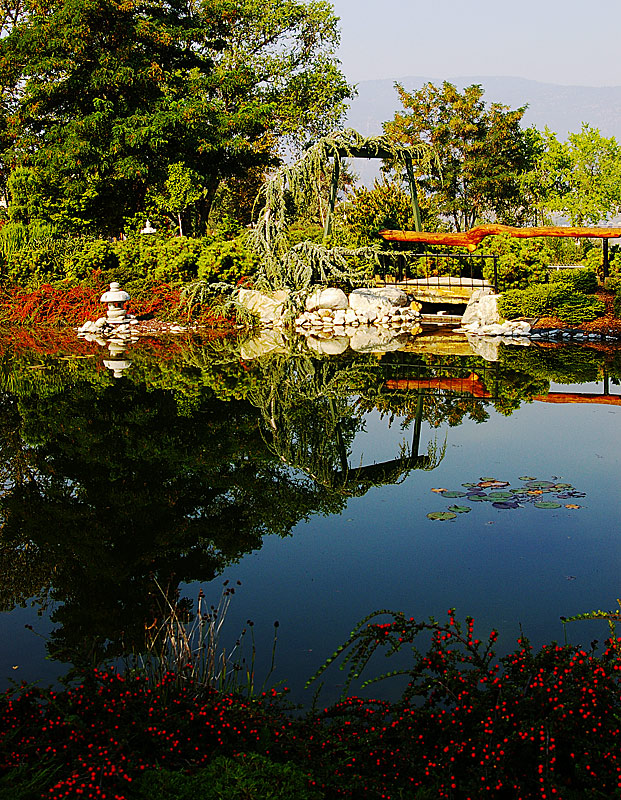 Reflections