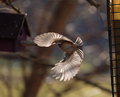 DSC_0062.JPG