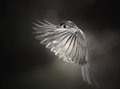 soft landing_edited-2.jpg