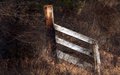 Weathered