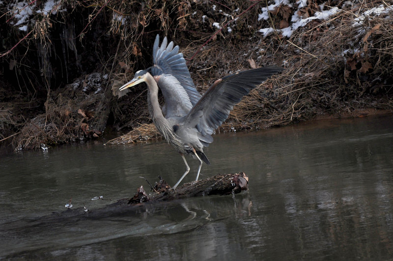 SOFT LANDING