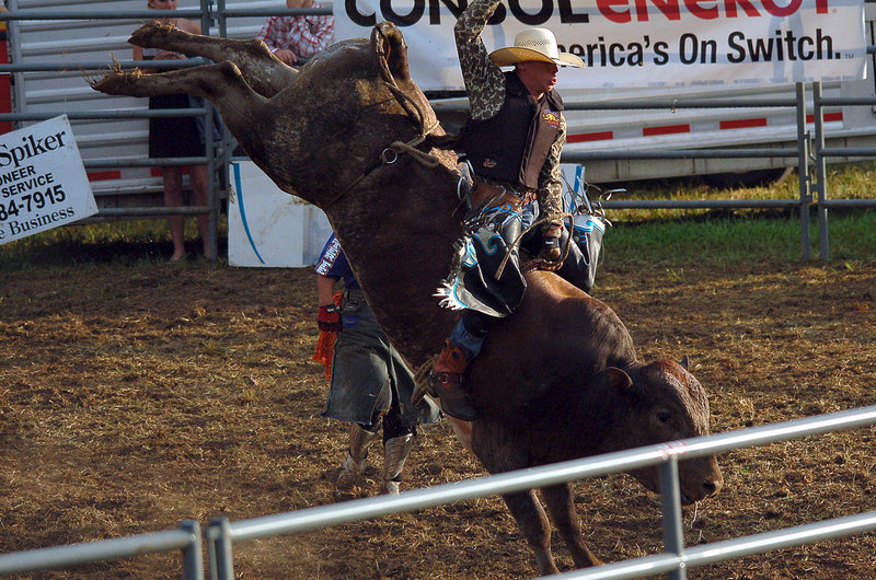 DSC_0784a