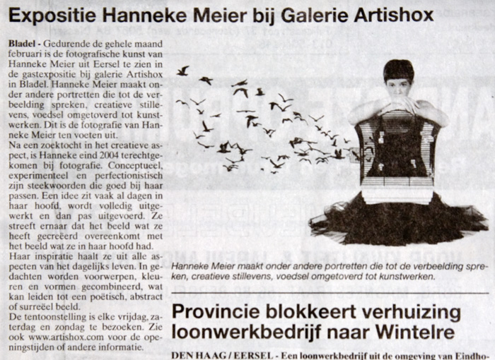 Exhibit in the press