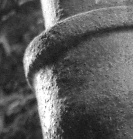 100% crop