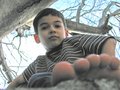  up a tree