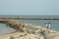  on the jetty