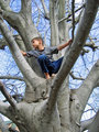 up a tree 2