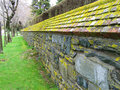 mossy wall