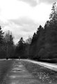  through the park