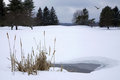 golf course in winter