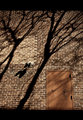 shadow play_original