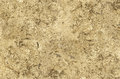 texture_2