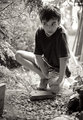 in the grove_original