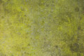 fieldstone_texture_5
