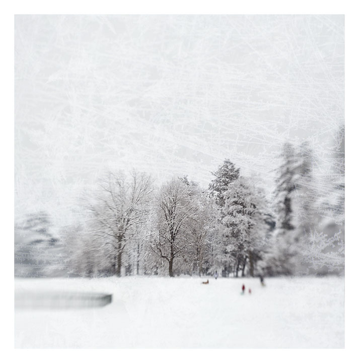  midwinter's dream