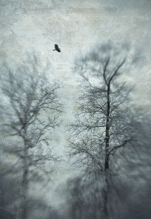 volare 