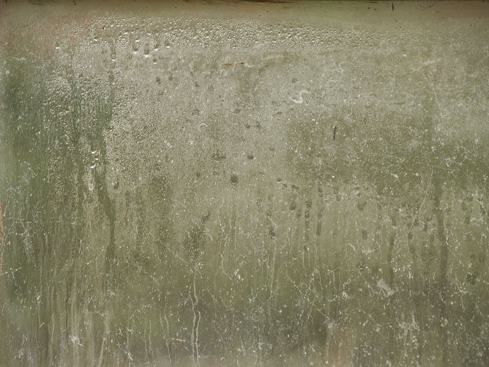 streaky window_flickr