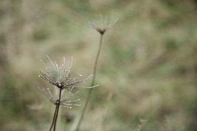 winter's approach