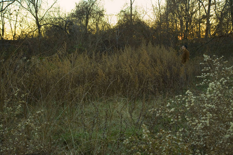among the grasses