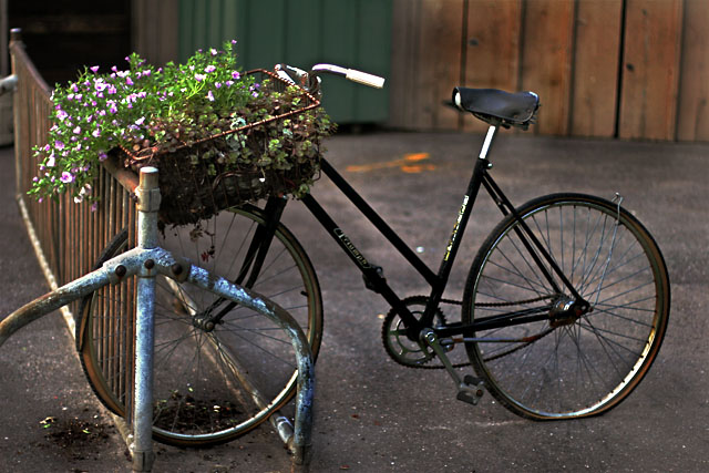planter