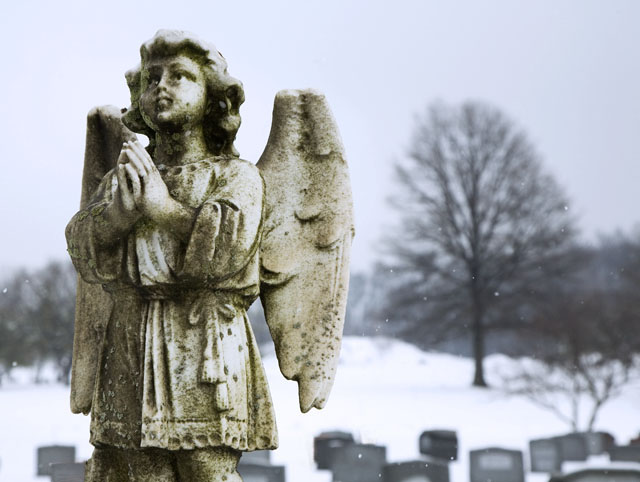angel