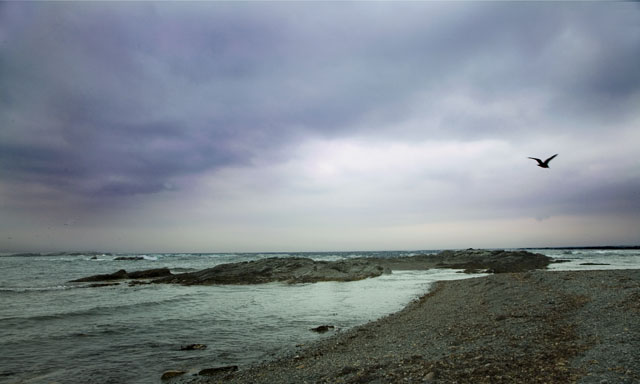 along the coastline