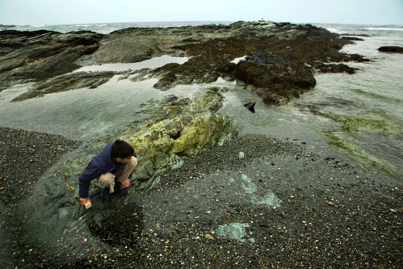 searching for treasure