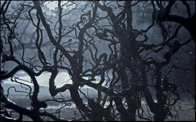 tangle