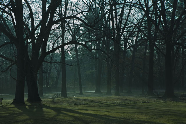 quietude