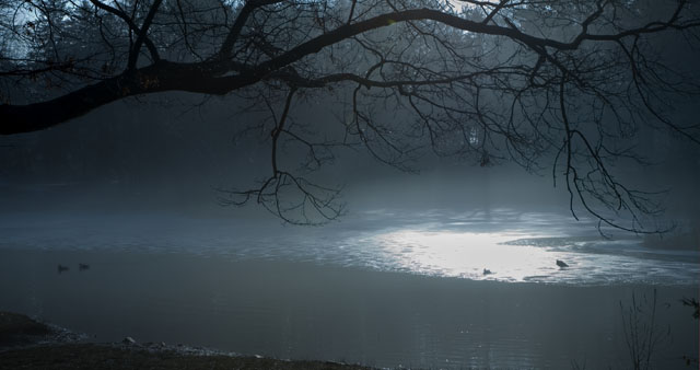 awakening