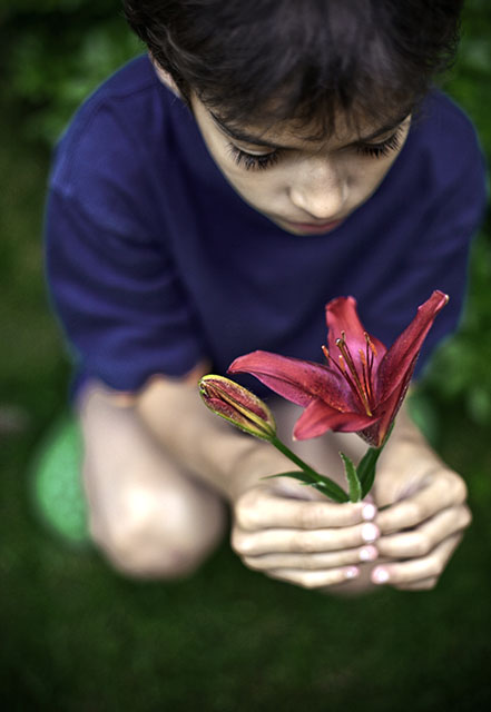lily