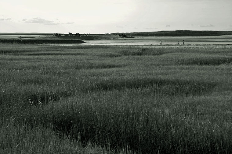 3 plus 1 across the marsh