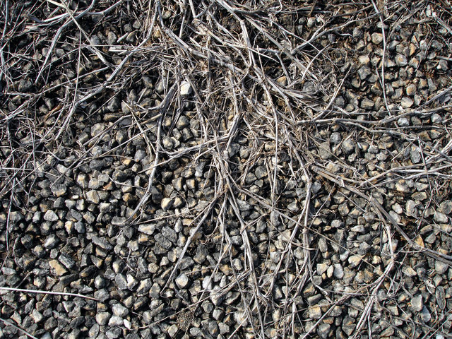 texture_3