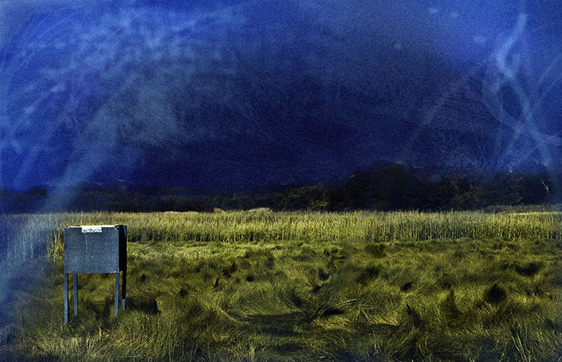 marsh magic