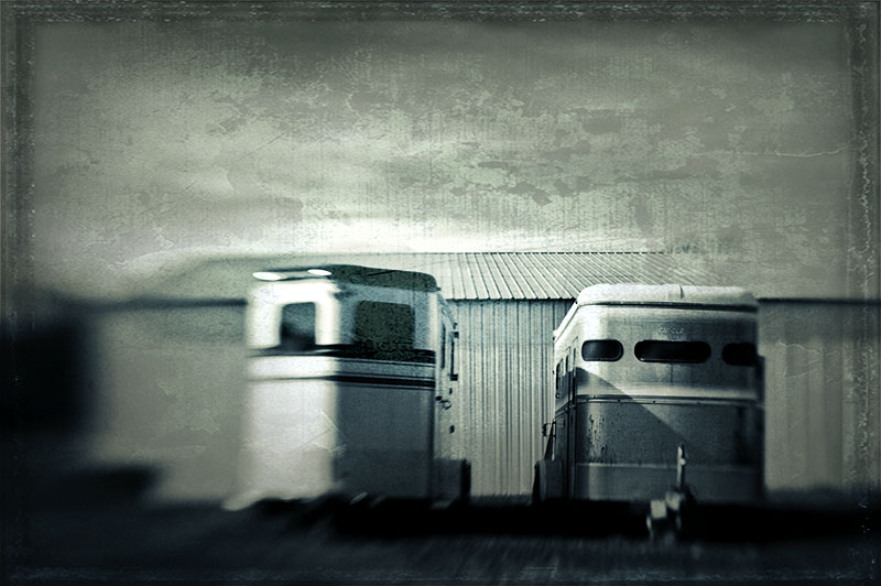 horse trailers 