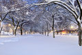 Snow Way