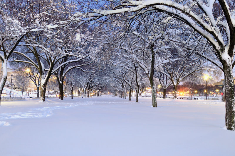 Snow Way