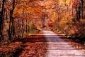 Autumn Journey