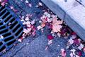 Fallen...Swept...Forgotten