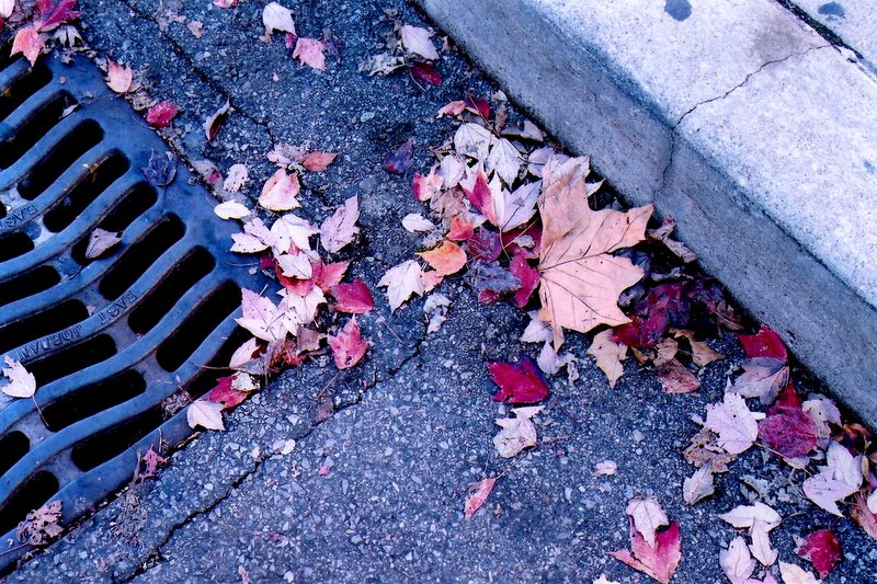 Fallen...Swept...Forgotten