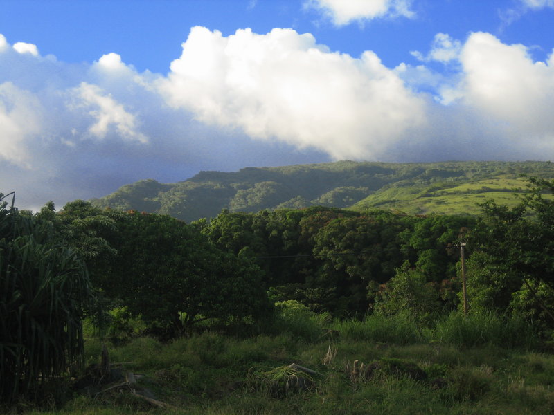 seclusion....peace